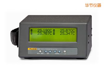 畢節(jié)四通道便攜式測溫儀