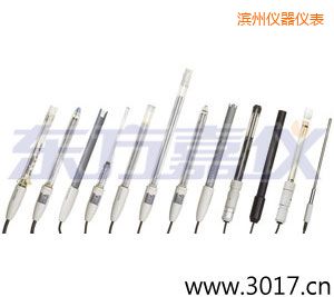 濱州離子選擇性電極