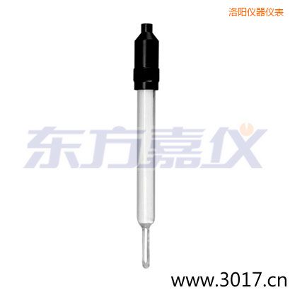 洛陽玻璃外殼無溫補兩線電導率電極