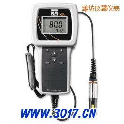 濰坊便攜式溶解氧測量儀