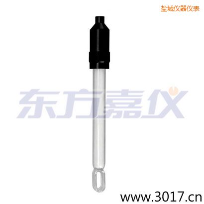 鹽城玻璃外殼無(wú)溫補(bǔ)兩線電導(dǎo)率電極