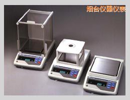 煙臺(tái)GX系列精密電子天平,810g,0.001g