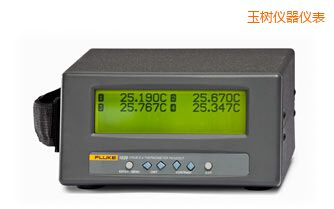 玉樹四通道便攜式測(cè)溫儀